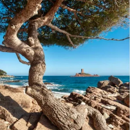 Apartamento Le Petit Semaphore